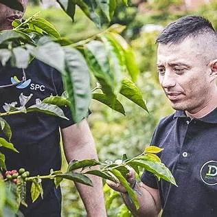 Tommasi Over Your Limits Finca El Paraíso Lychee caffè